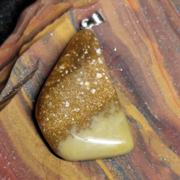 Opalized Petwood Anhänger